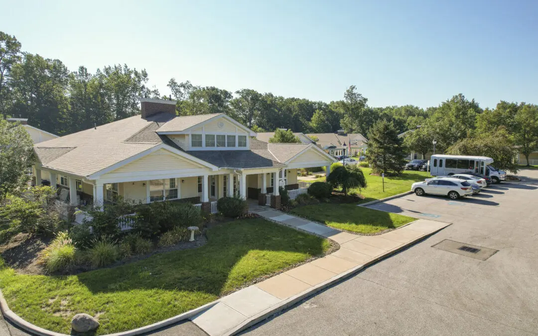 Fermentum commodo lobortis